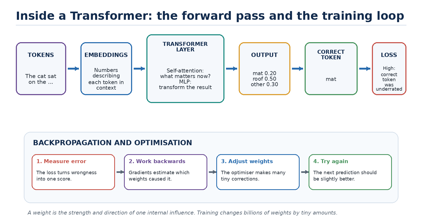 Figure 2. A simplified Transformer forward pass and the training loop that updates model weights.